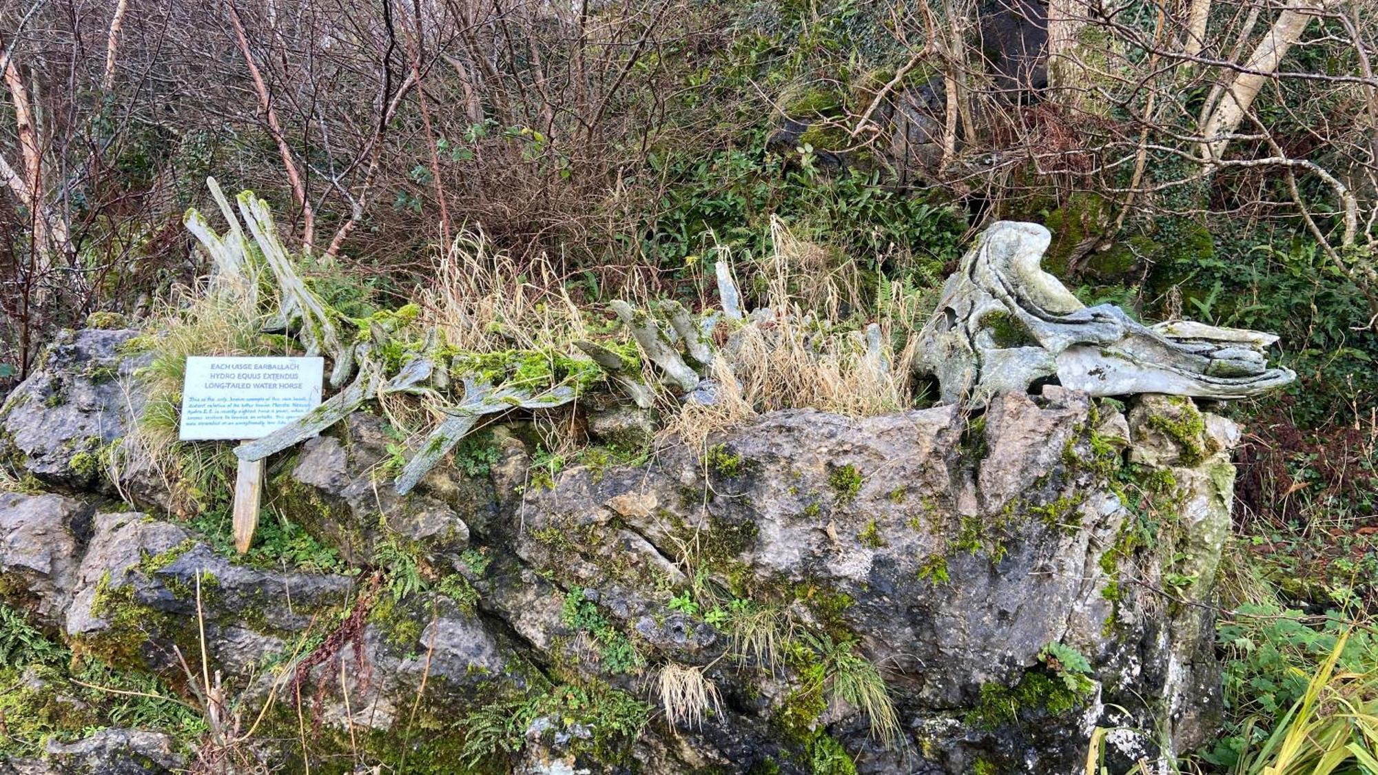 Carnmhor, Isle Of Skye - Stunning 242 Year Old Cottage On Its Own Sea Shore! Breakish Esterno foto